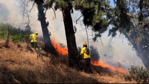 Parque Metropolitano cierra accesos y evacúa visitantes por incendio en el Cerro San Cristóbal