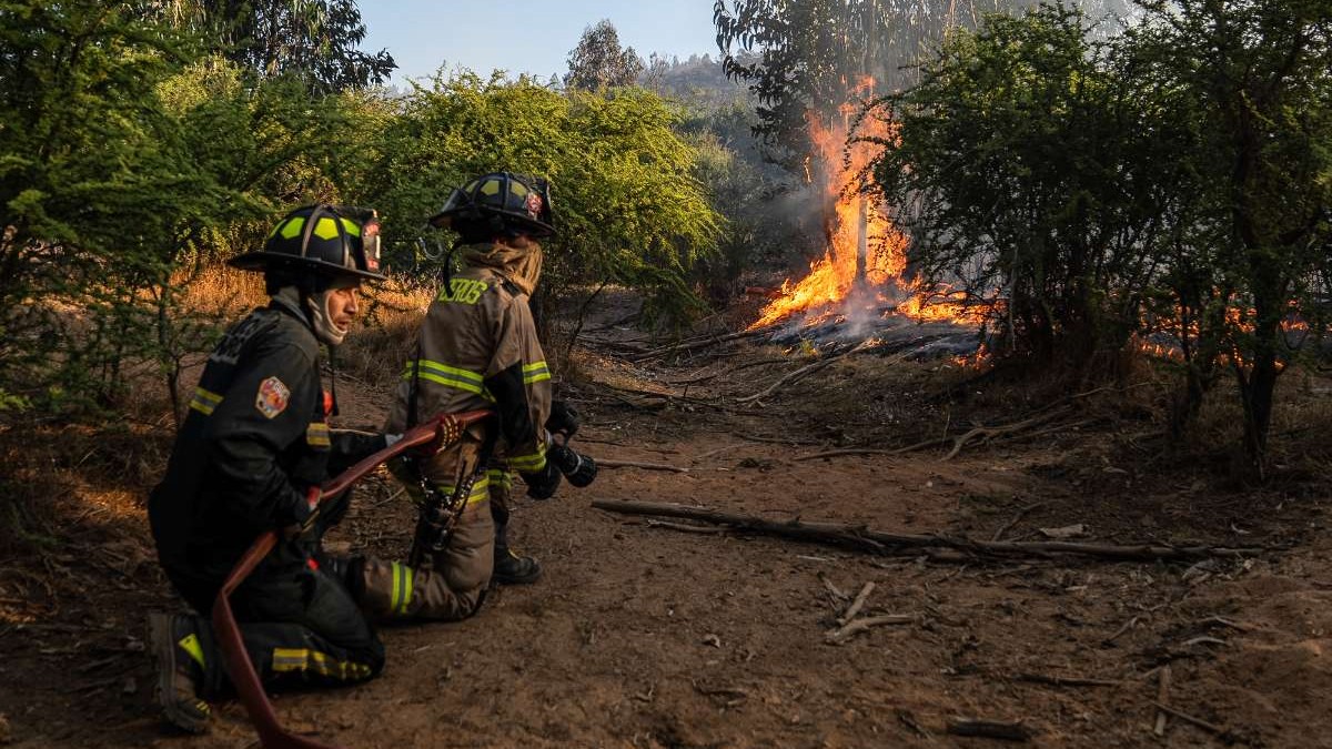 Alerta Roja por incendio forestal en Limache: Senapred ordenó evacuar sector habitado