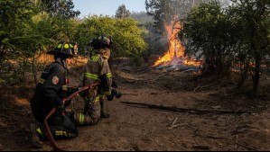 Alerta Roja por incendio forestal en Limache: Senapred ordenó evacuar sector habitado
