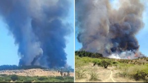 Evacúan sector de Marchigüe por incendio forestal: Senapred declaró Alerta Roja en la comuna