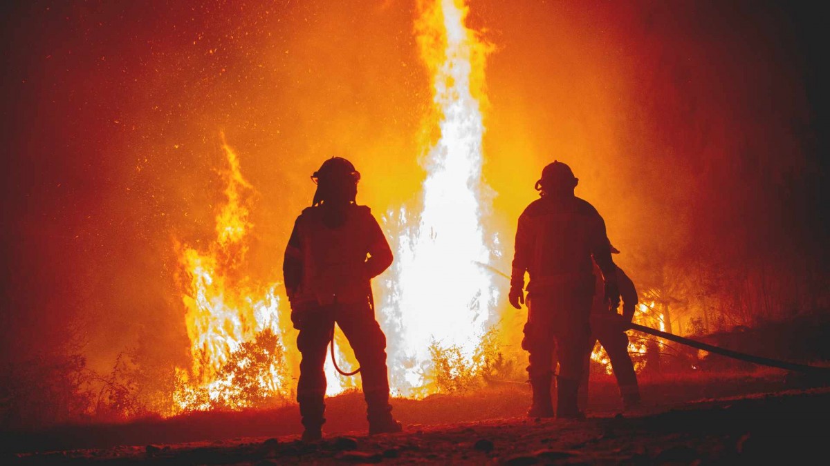 Senapred declara alerta roja para Maule por incendio forestal