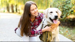 Estas son las razas de perros más leales del mundo