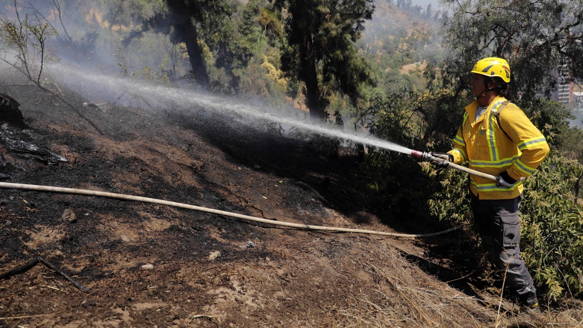 'Cercano a sectores habitados': Incendio forestal afecta a Machalí y se declara Alerta Roja