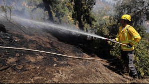 'Cercano a sectores habitados': Incendio forestal afecta a Machalí y se declara Alerta Roja
