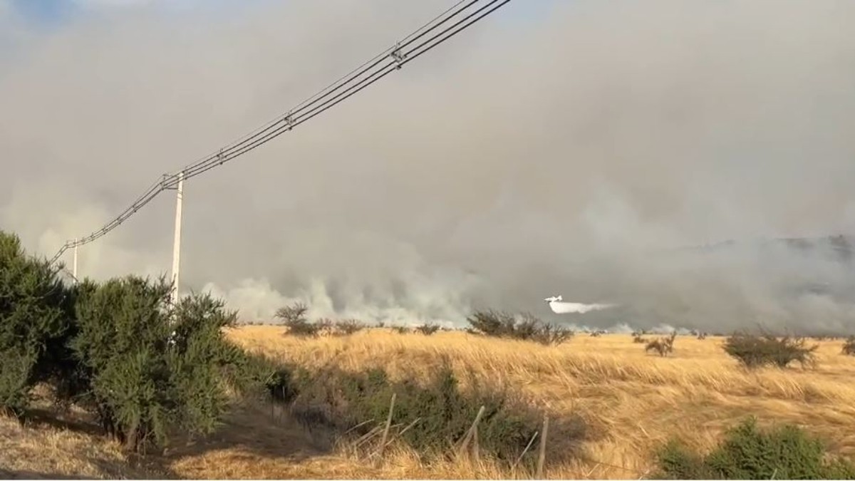 Alerta Roja Por Incendio Forestal: Ordenan Evacuaciones En Sectores De 