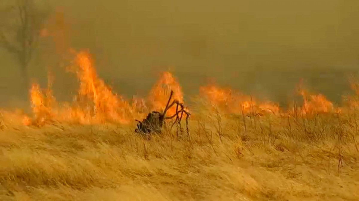 Conaf reporta más de 950 hectáreas afectadas por incendio forestal en la Región Metropolitana