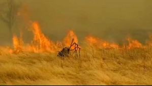 Conaf reporta más de 950 hectáreas afectadas por incendio forestal en la Región Metropolitana