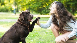 Estas son las 10 palabras que tu perro entiende, según la ciencia