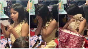 'Viene a cuidarte y consolarte': La emotiva reacción de niña que recibió un cachorro como regalo de Navidad