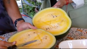 La novedad del verano: Así son las sandías amarillas que se producen en Paine