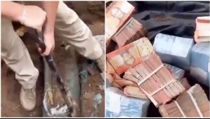 Caso Brinks: Video muestra momento en que encuentran millonario monto enterrado en casa de El Quisco