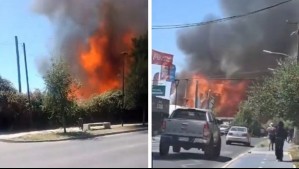 Incendio afectó a fábrica de pallets en Isla de Maipo: Una persona resultó lesionada