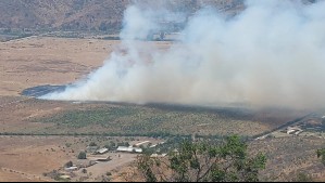 Llaman a evacuar un sector de La Ligua y declaran Alerta Roja por incendio forestal