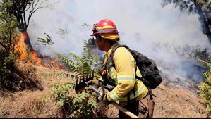 Cancelan Alerta Roja en Paine por incendio forestal