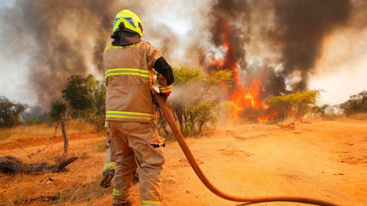 Declaran Alerta Roja para Lebu por incendio forestal cercano a sectores poblados