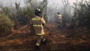 'Alta probabilidad de generación de incendios forestales': Declaran Alerta Temprana Preventiva en la Región Metropolitana