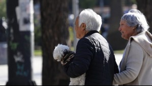 Todos los fondos de pensiones anotaron ganancias en 2024: Revisa la rentabilidad de cada uno