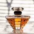 Conoce cuáles son los mejores lugares para guardar tus perfumes y mantener intactas las fragancias de ellos. Revisa todos los consejos para que el aroma dure eternamente.