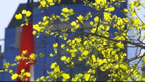 El calor dará un leve respiro en Santiago: Revisa el pronóstico del tiempo para este martes