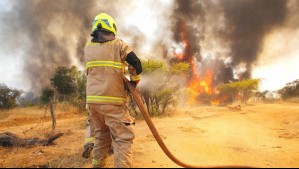 Declaran Alerta Roja para Marchigüe por incendio forestal: Fuego ya ha consumido cinco hectáreas