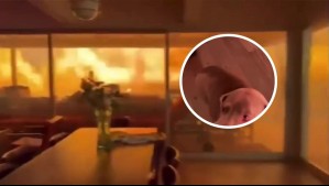 Dramático momento: Video muestra a dos personas y su perro atrapados en su casa durante voraz incendio en California