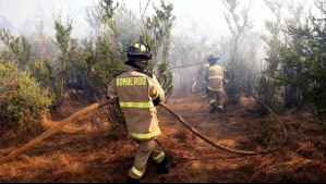 Por incendios forestales: Senapred decreta Alerta Roja en 3 comunas de la zona centro sur de Chile