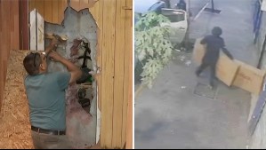 Millonario robo de bicicletas a tienda de San Diego: Ladrones hicieron un forado y fingieron ser trabajadores para llevárselas