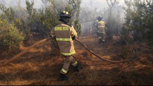 'Cercano a sectores poblados': Senapred declara Alerta Roja por incendio forestal en Melipilla