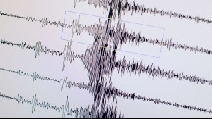 Sismo de magnitud 6,2 en México ha provocado más de 163 réplicas: SHOA descartó riesgo de tsunami en Chile durante la madrugada