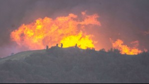 'Incendios volverán a intensificarse': Lucha de bomberos contra los siniestros en Los Angeles deja un saldo de 16 muertos