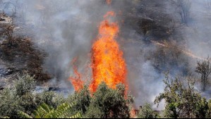 Declaran Alerta Roja en Ancud por incendio forestal