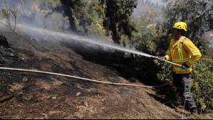 'Cercano a sectores poblados': Declaran Alerta Roja en comuna de La Estrella por incendio forestal