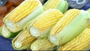 Locura por el choclo: Tendencia a la baja de su precio continuaría durante el verano