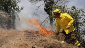 Senapred cancela Alerta Roja para comuna de la región de O'Higgins por incendio forestal