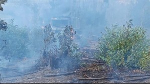 Atentado incendiario deja 4 camiones quemados: Sujetos intimidaron con armas a trabajadores que hacían faenas forestales