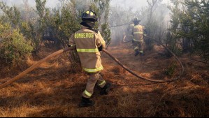 'Cercano a sectores habitados': Declaran Alerta Roja en Chillán por incendio forestal