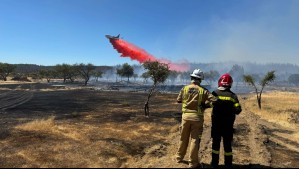 Incendio forestal en Valparaíso: Bomberos y Conaf trabajaron en Reserva Nacional Lago Peñuelas