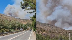 Senapred ordena evacuación en sector de la región de Valparaíso por incendio forestal: Se declaró una Alerta Roja