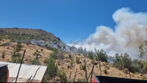 Confirman una persona fallecida, un herido y viviendas afectadas en incendio forestal en la región de Valparaíso