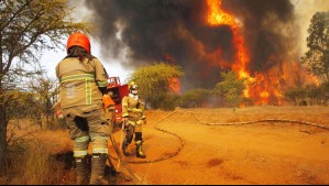 Llaman a evacuar sector de Paredones por incendio forestal