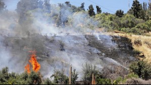 Senapred declara Alerta Roja para comuna de Mulchén por incendio forestal