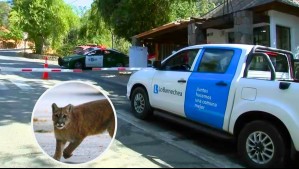 'Quiere comer animal': Hablan vecinos y trabajadores de condominio donde puma habría atacado a perro en Lo Barnechea