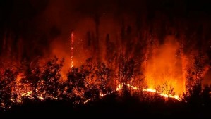 Fuego habría iniciado tras una pelea: Responsables de fatal incendio en Los Sauces podrían arriesgar penas de hasta 20 años