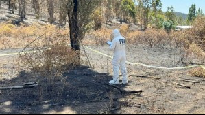 Fuego habría iniciado tras 'una pelea entre vecinos': Investigan intencionalidad en fatal incendio forestal en Los Sauces