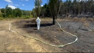 Sería inimputable: ¿Qué se sabe de la mujer detenida por el incendio que terminó con la vida de 3 brigadistas en Los Andes?