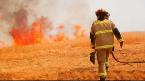 Declaran Alerta Roja por incendio forestal en Rauco