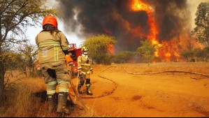 Cercano a sectores poblados: Declaran Alerta Roja por incendio forestal en comuna de la región del Maule