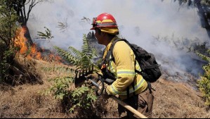 Declaran Alerta Roja en San Javier por incendio forestal: Lleva 500 hectáreas consumidas