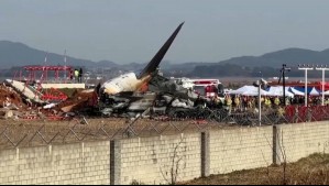 Motores de avión accidentado en Corea del Sur tenía restos de ADN de pato