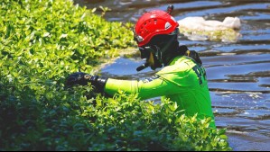 Buscan a joven de 23 años que desapareció tras volcar en kayak en el lago Villarrica